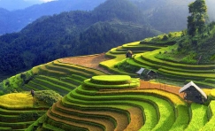Discover the most beautiful rice terraces 5 Days